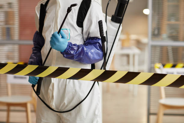 Professional Sewage Cleanup technician working in Hyrum, UT